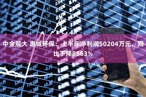 中金辰大 惠城环保：上半年净利润50204万元，同比下降8563%