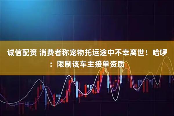 诚信配资 消费者称宠物托运途中不幸离世!哈啰:限制该车主接单资质
